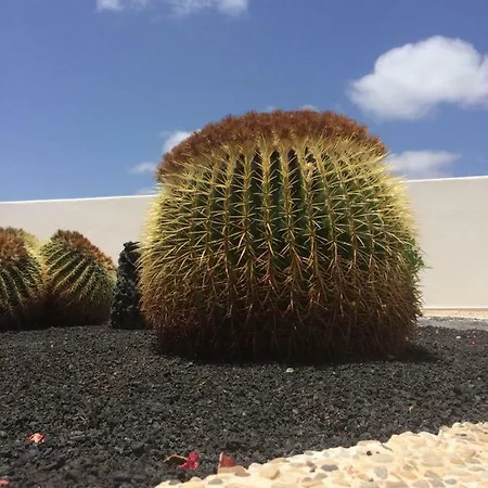 Panelos B1 Appartement *