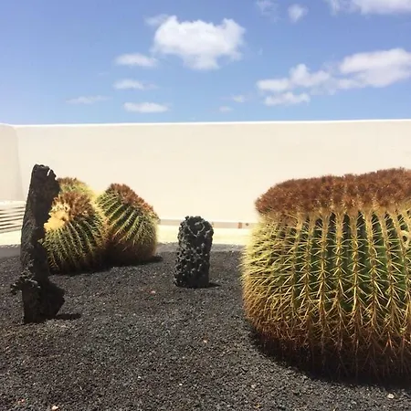 Panelos B1 * Puerto del Carmen (Lanzarote)