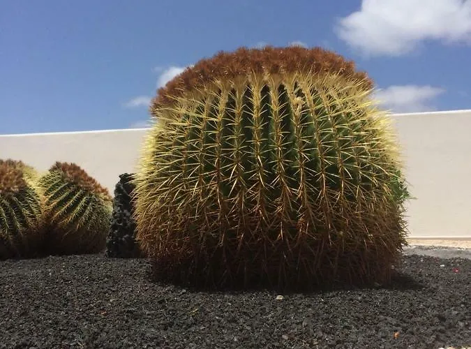 Panelos B1 Апартаменти *