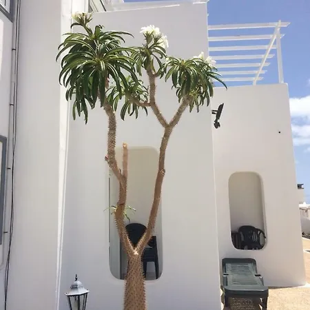 Panelolanza * Puerto del Carmen (Lanzarote)