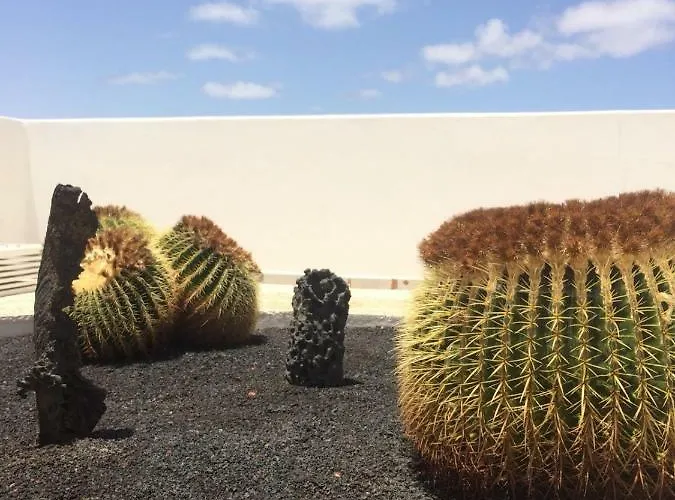 Panelos B1 * プエルト・デル・カルメン